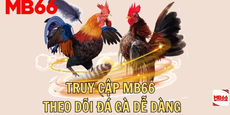 Dễ dàng truy cập theo dõi và cá cược trực tiếp đá gà hôm nay